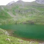 L'espugue * Gèdre
